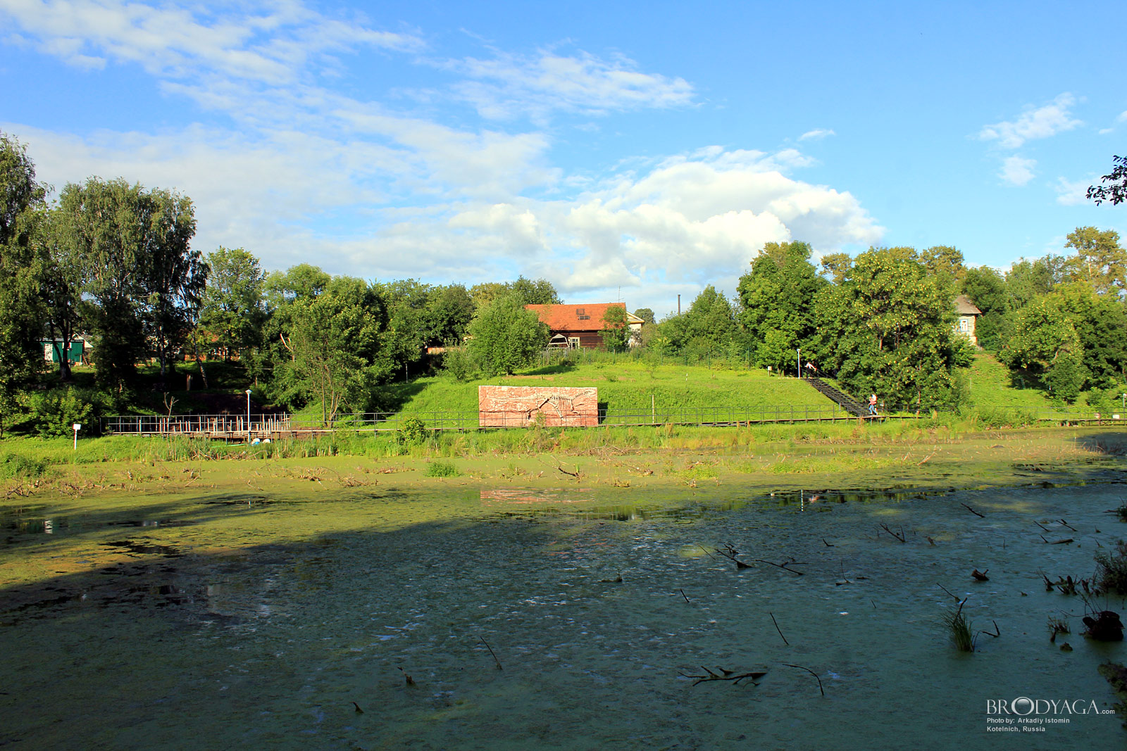 Kotelnich